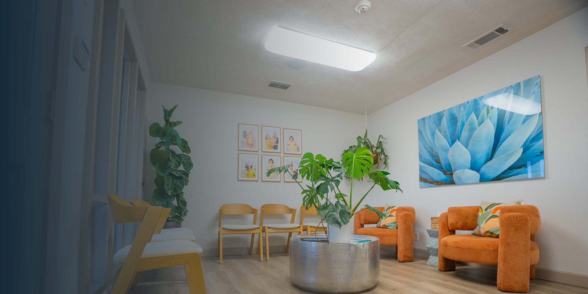 Bright dental office reception space with modern interior design